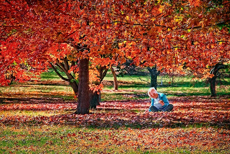 Collecting Leaves