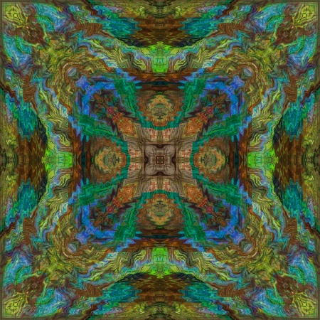 Peacock Feathers