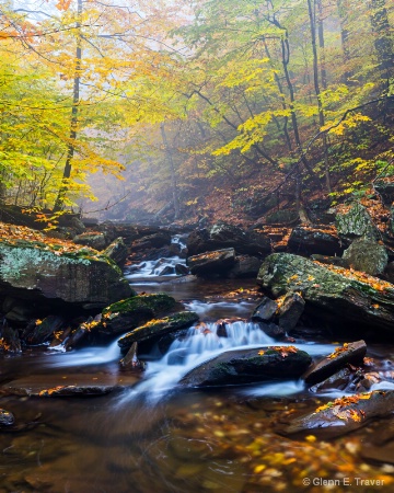 Foggy Morning at Ricketts Glen