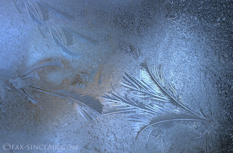 Ice Feathers