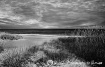 Fall on Cape Cod,...