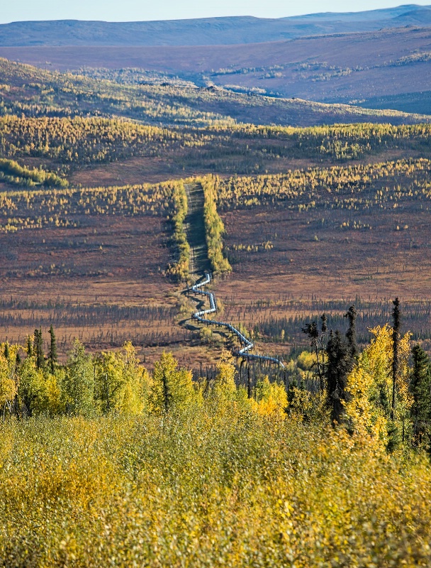 Alaska Pipeline  