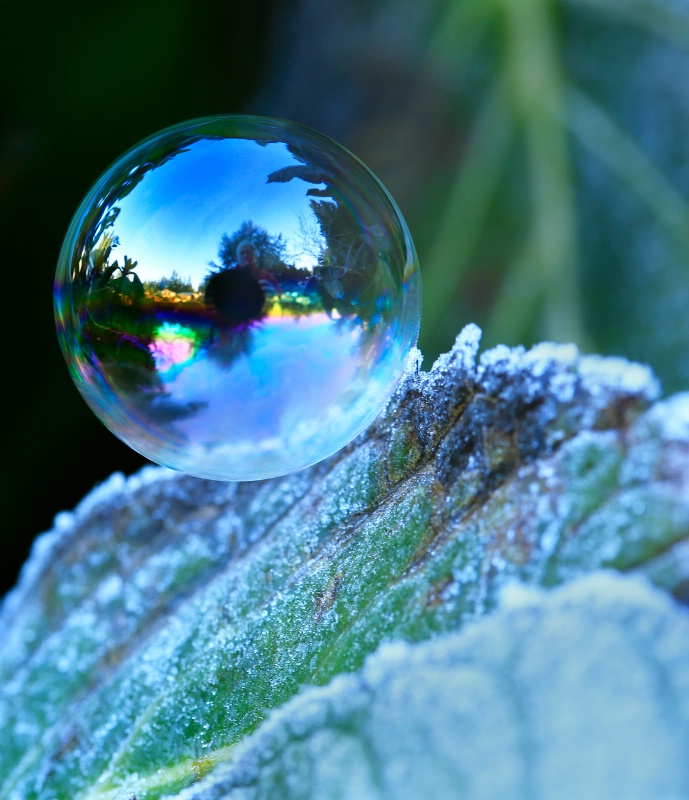 Bob in a Bubble