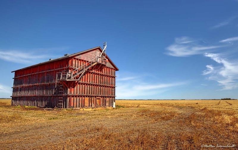 One Red Shed