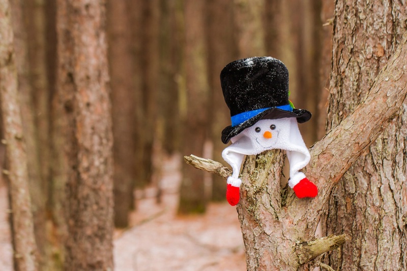 Snowman in the Woods