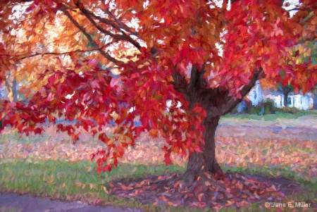 Painted Fall Tree