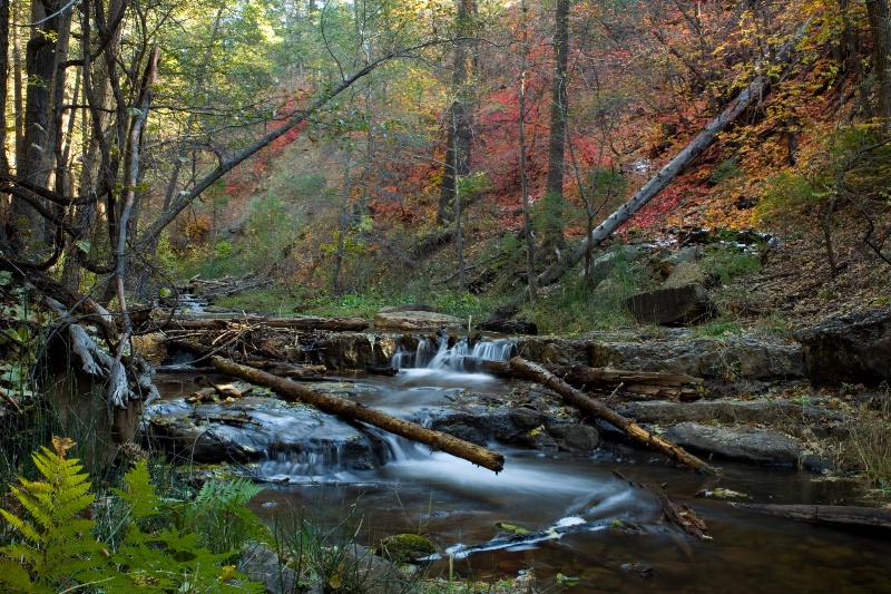 Creekside Color