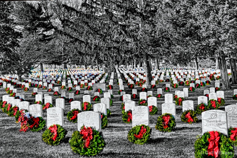 Arlington Cemetery