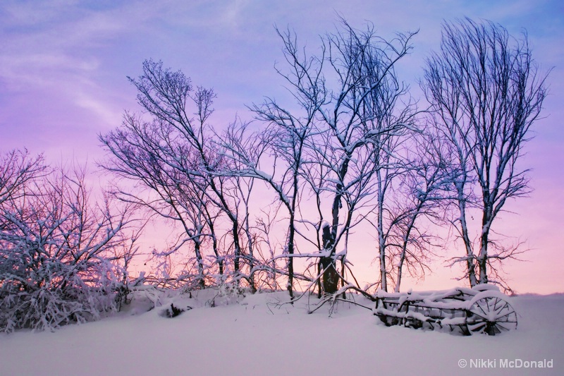 Hayrake in Winter