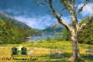 Jordan's Pond...