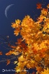 End of Fall