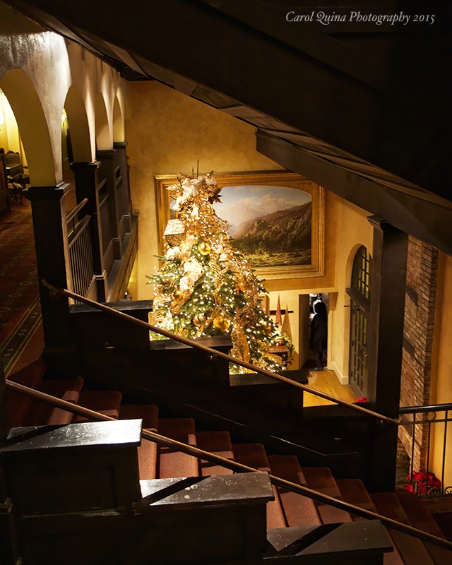 Christmas under the Staircase