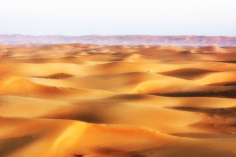 Just Desert