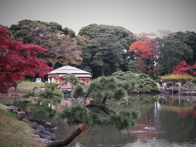 Hama-rikyu garden