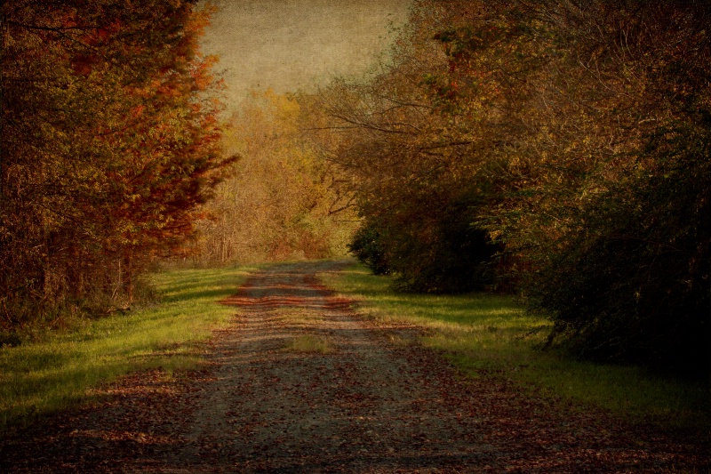 Where the Path Leads