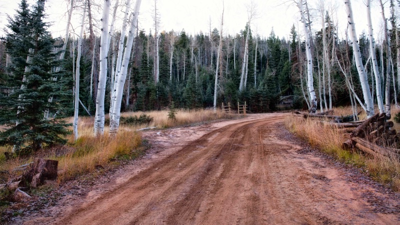 High Country Dirt Road