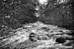 Acadia National P...