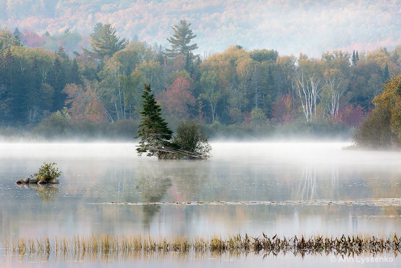 Fog & Reflection