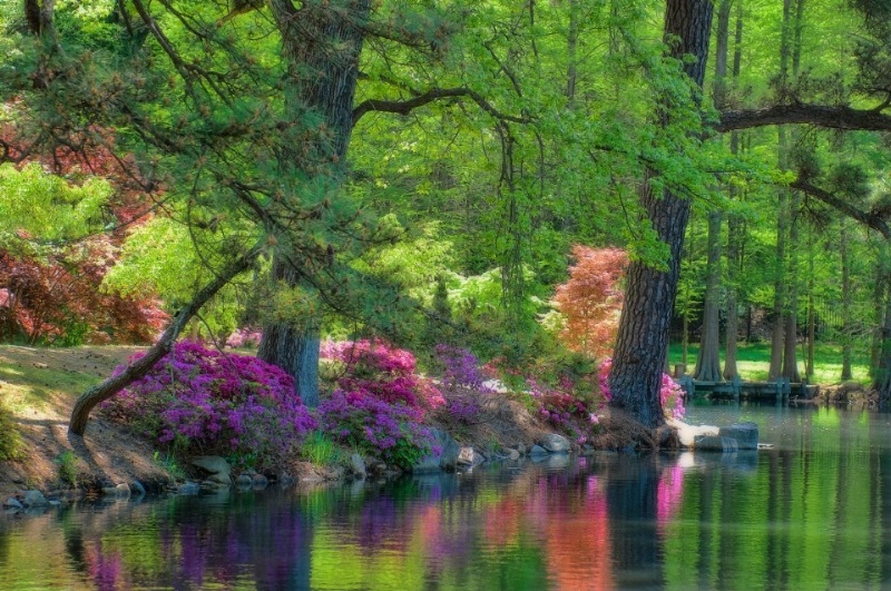 Maymont Spring ... 7 - ID: 15061466 © Wanda Judd