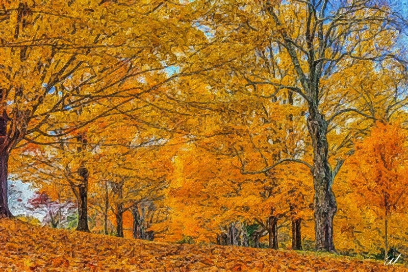 Maymont Fall ... - ID: 15061470 © Wanda Judd