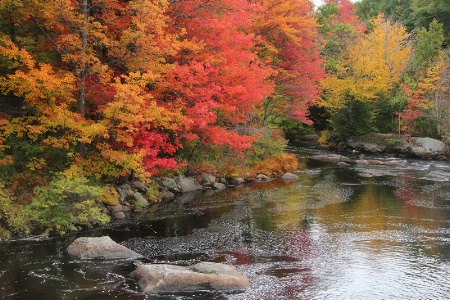 Contoocook River ( forum)