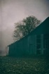 old barn in fog