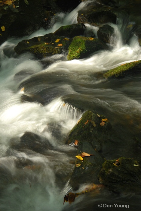 Smoky Mountain Strea,