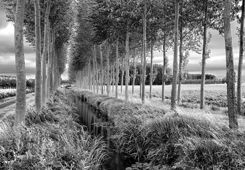 On the Canal