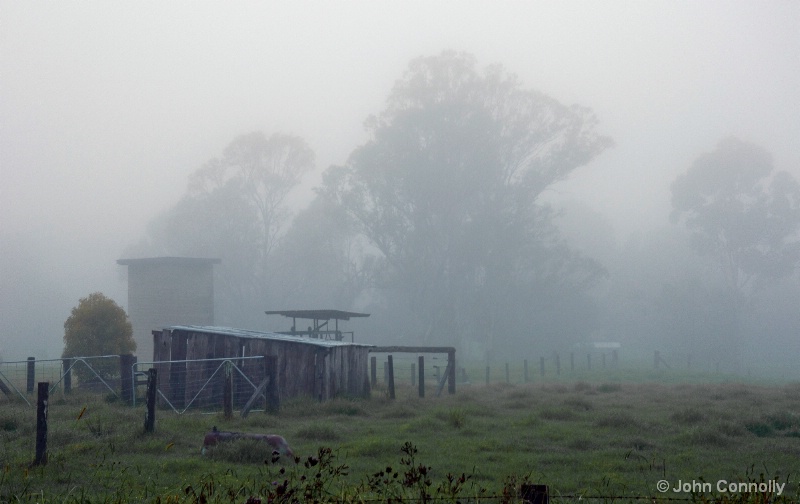 Fog on the Farm.