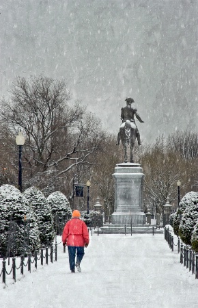 Stroll in the Snow