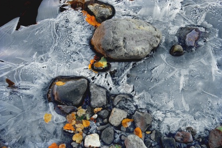 Colours in a Frozen Stream 