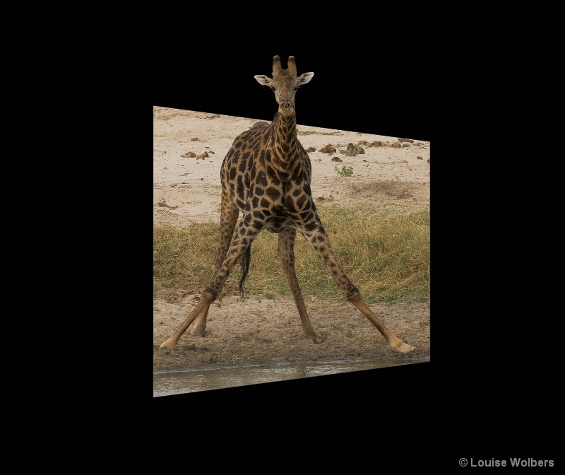 3D Giraffe - ID: 15065712 © Louise Wolbers