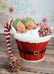 Santa Babies
