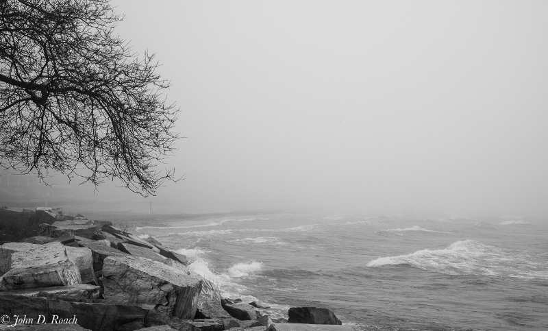 Beach and Surf in the fog