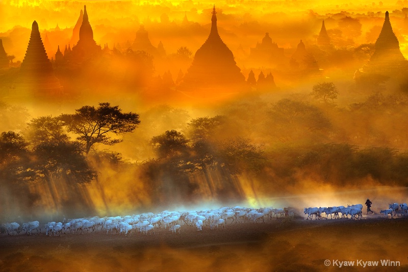 Golden Evening of Myanmar