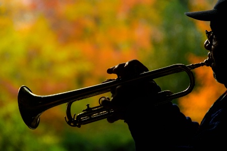 Street musician at Central Park