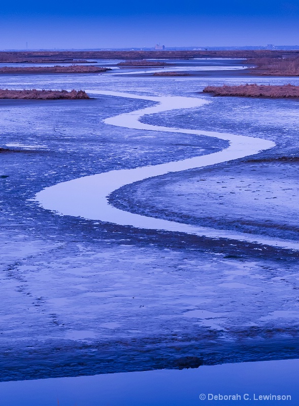 Nature's Pattern - ID: 15066915 © Deborah C. Lewinson