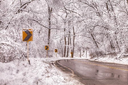 Snowy Lane