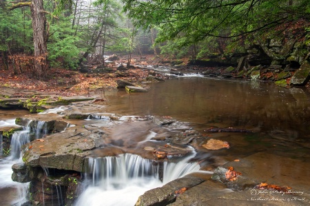 Winter Stream