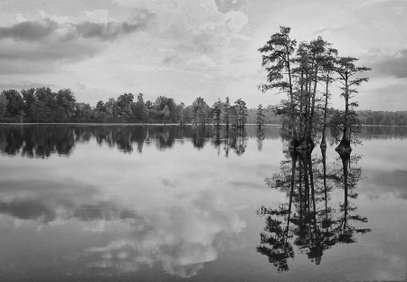 Cypress Lake