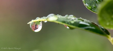 Droplet