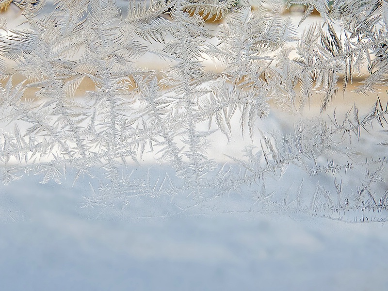 Window Frost