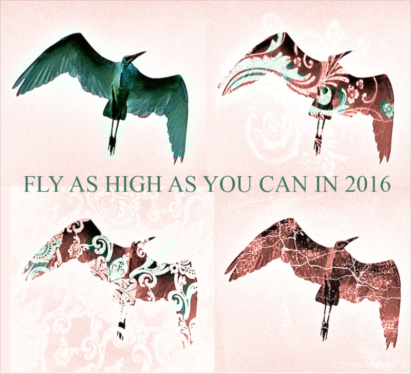 Fly high in 2016