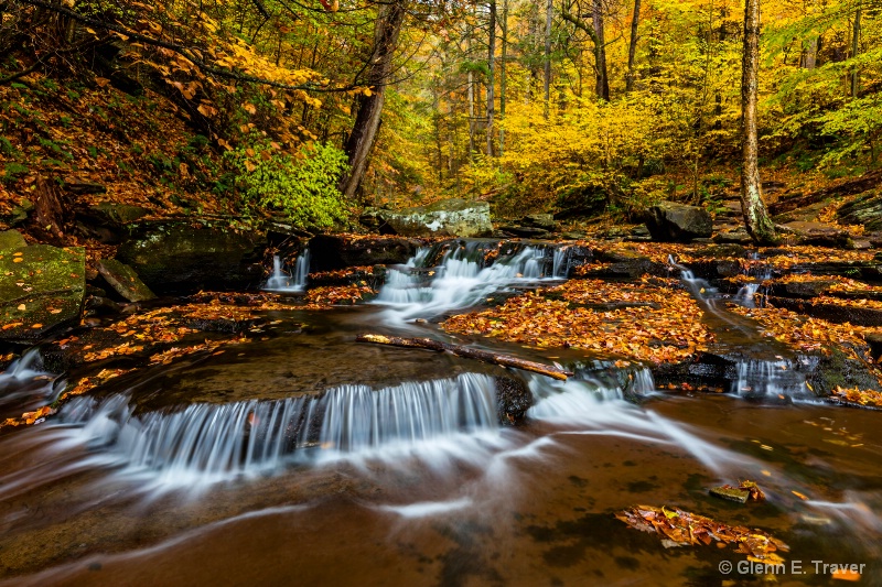 # Ricketts Glen 2015 Fall Colors