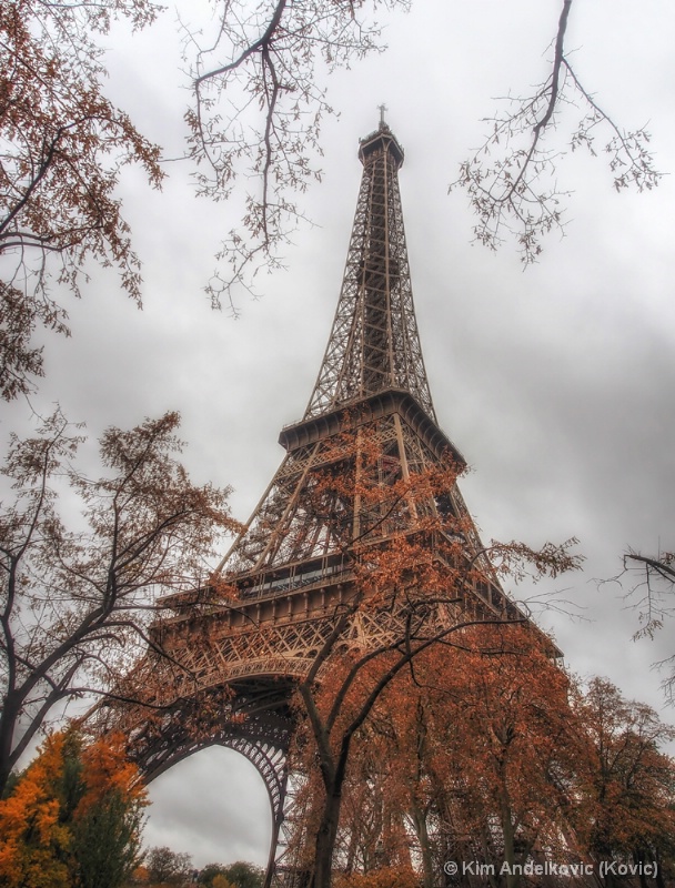 Autumn in Paris