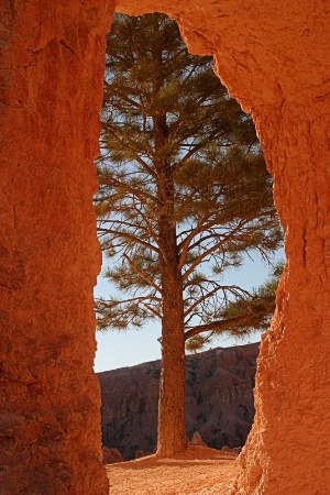 Natural Framing