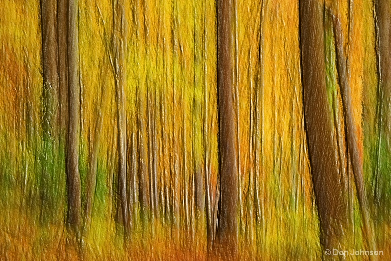 Artistic Abstract Forest 10-26-15 192