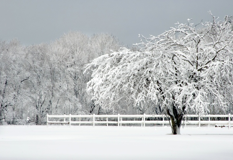 Snowscape