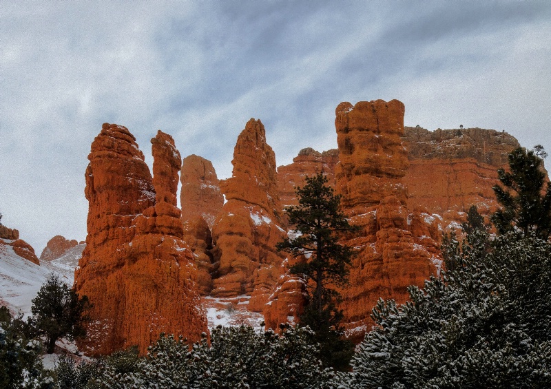 Snowy Day at Red Canyon