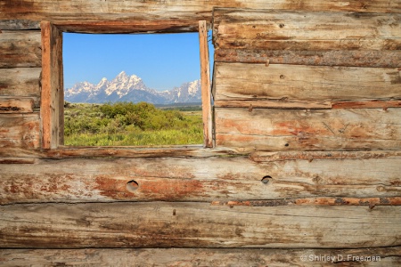 Window View of the Tetons